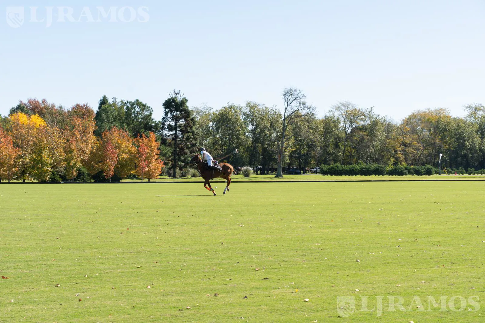 Terreno en La Dolfina Polo Ranch - PG foto 3