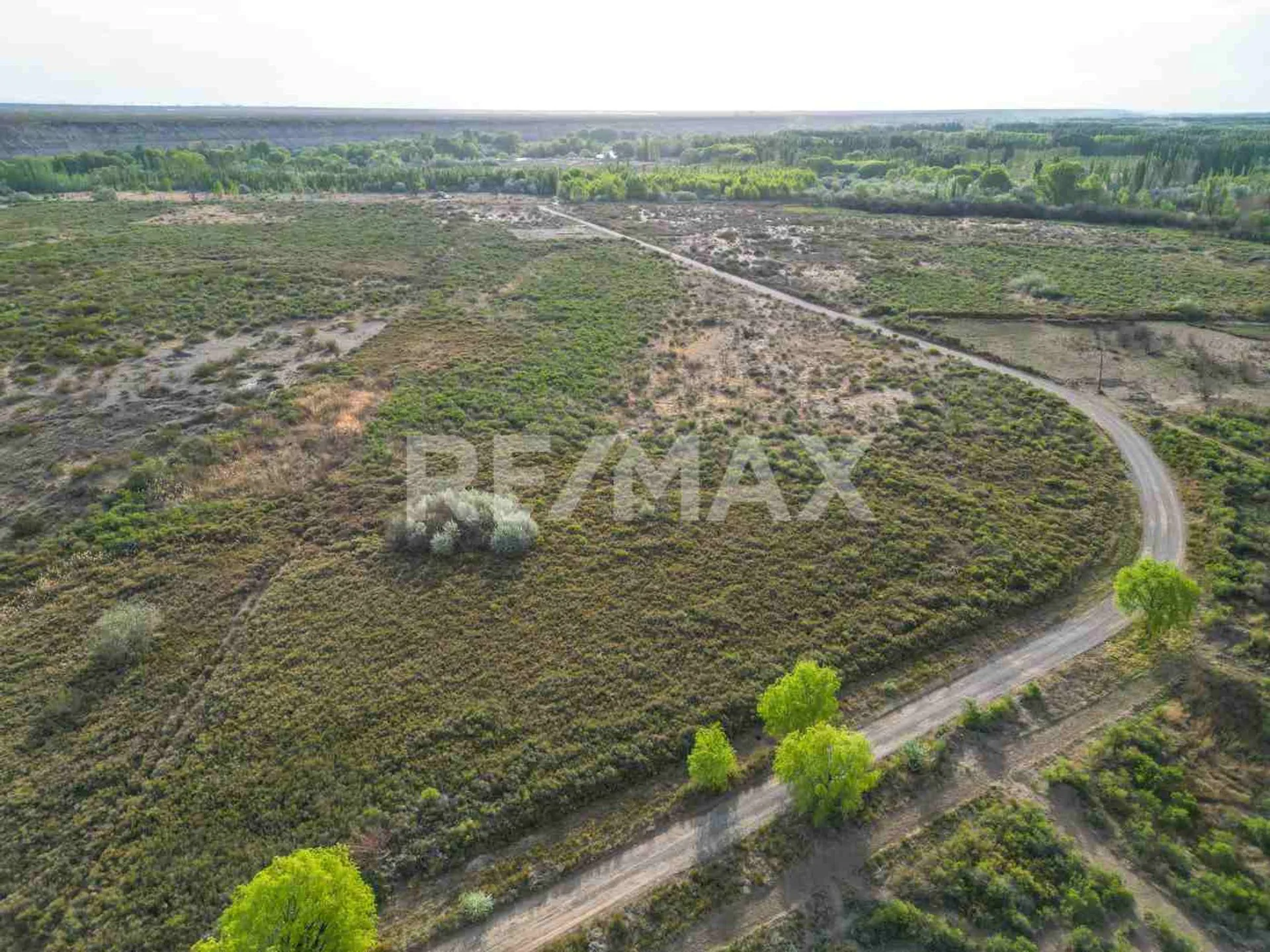 VENTA 19,8 HECTAREAS VILLA MANZANO foto 2