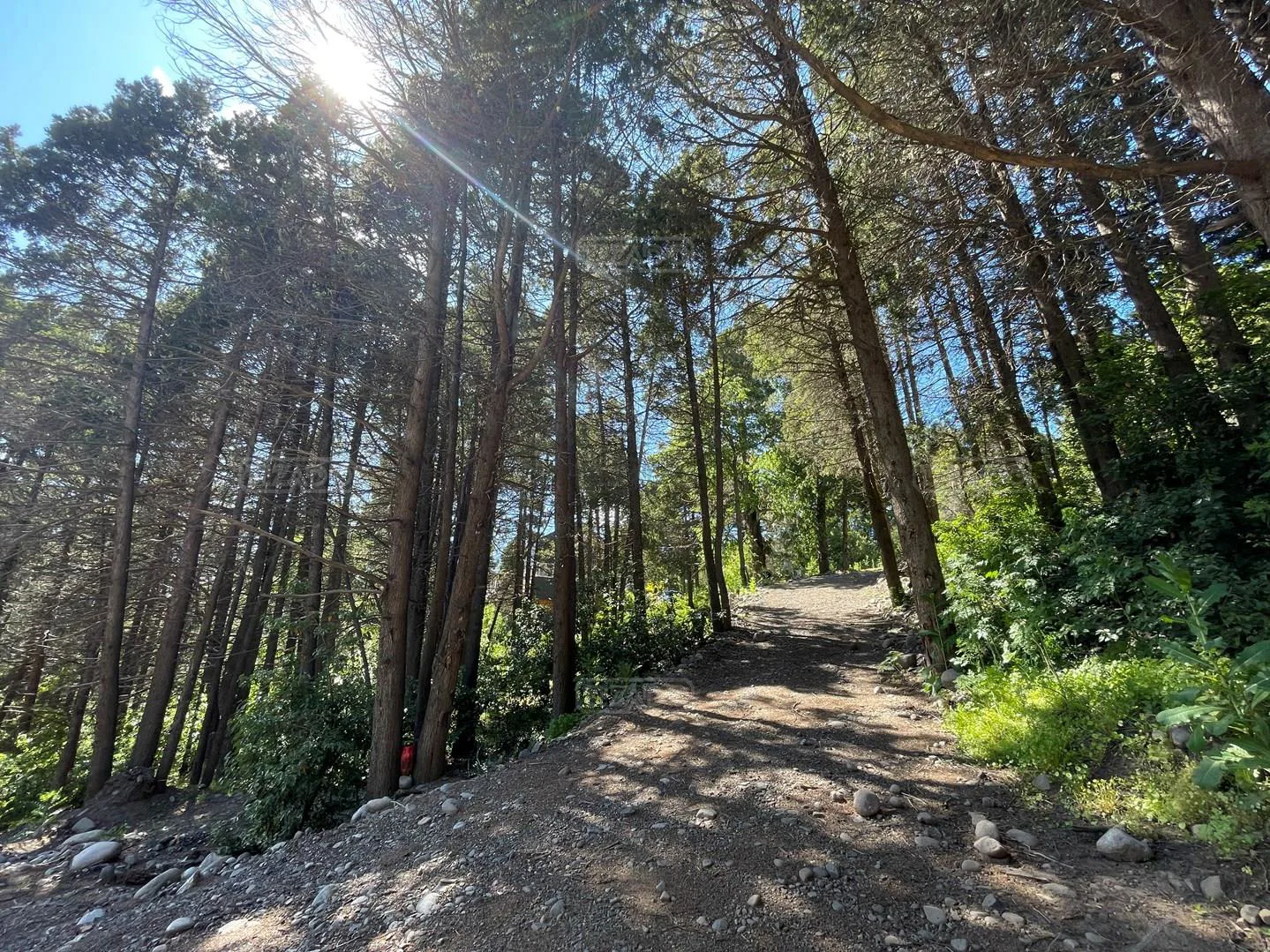 Pasaje del Morro 100 foto 5