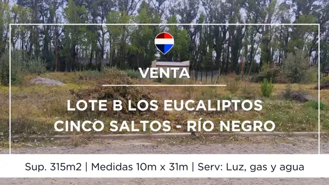 VENTA LOTE B LOS EUCALIPTOS CINCO SALTOS