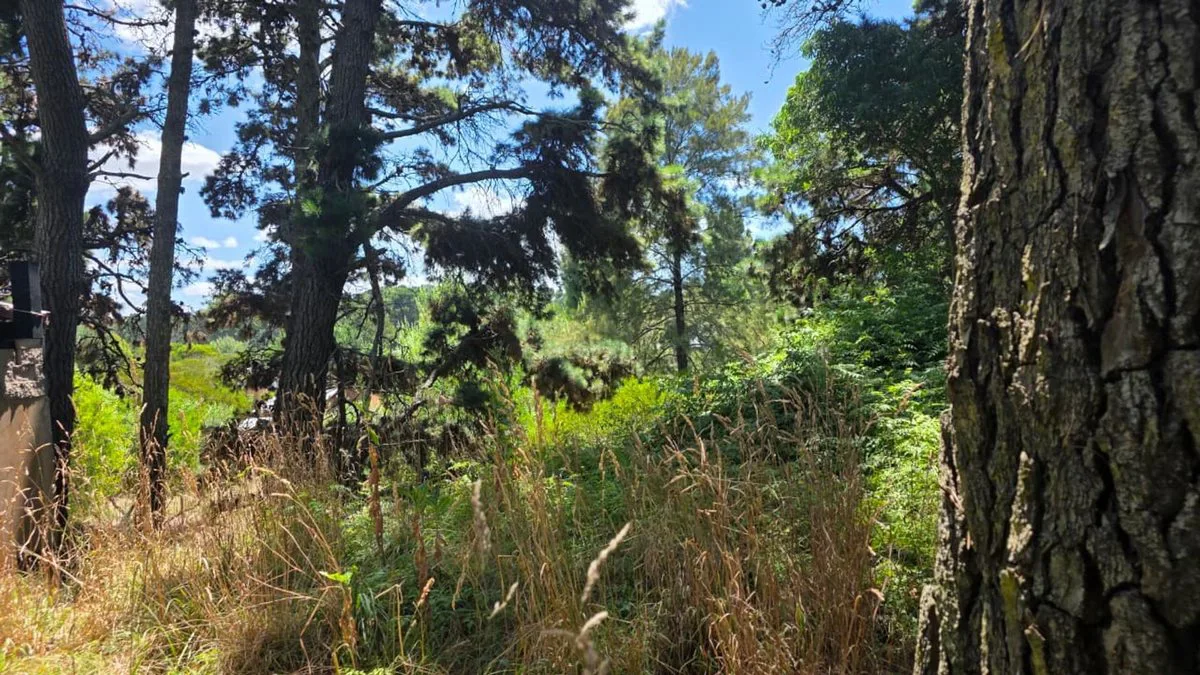VENTA DE LOTE DE 475M2 EN MAR AZUL