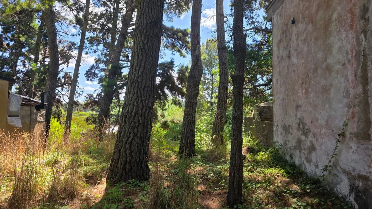 VENTA DE LOTE DE 475M2 EN MAR AZUL foto 2