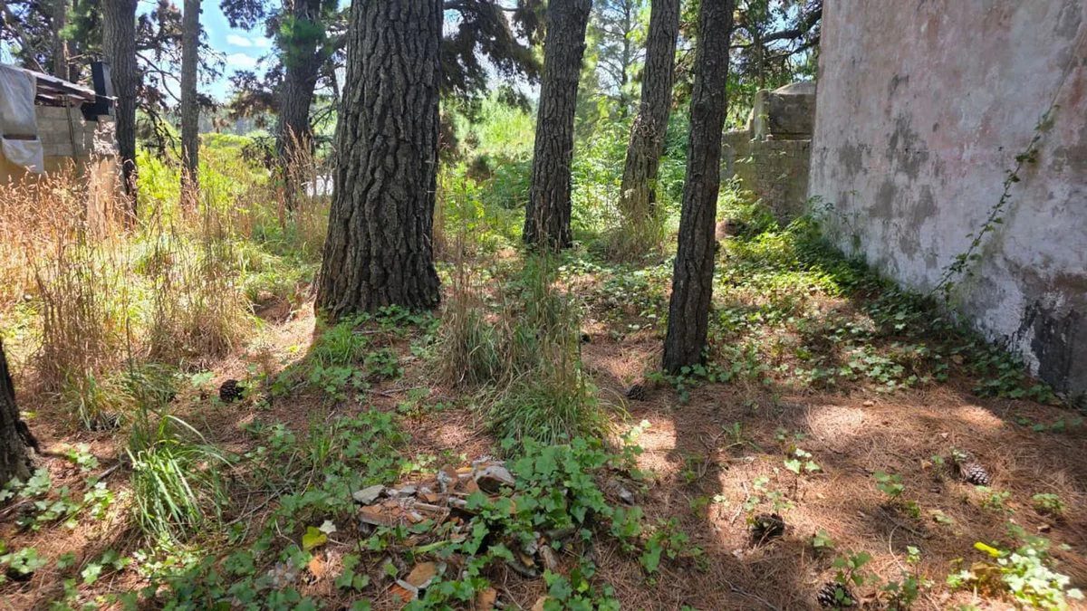 VENTA DE LOTE DE 475M2 EN MAR AZUL foto 3