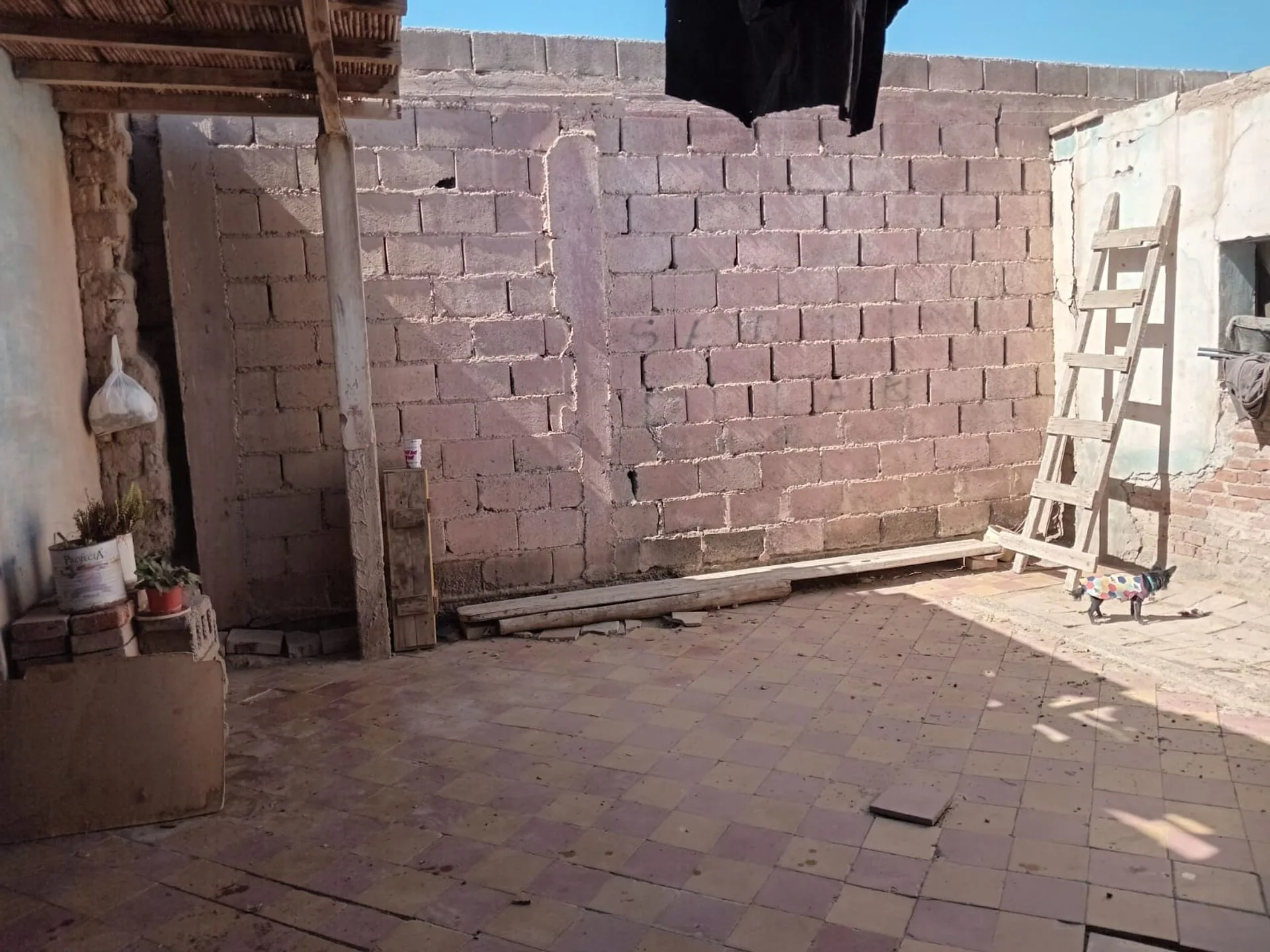 Terreno de 511 m2, con casa de adobe. Capital foto 3