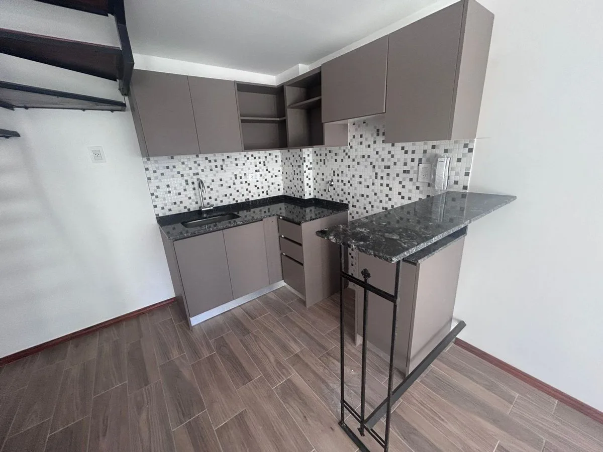 DUPLEX 1 DORMI + COMODIN CON TERRAZA EXCLUSIVA foto 3