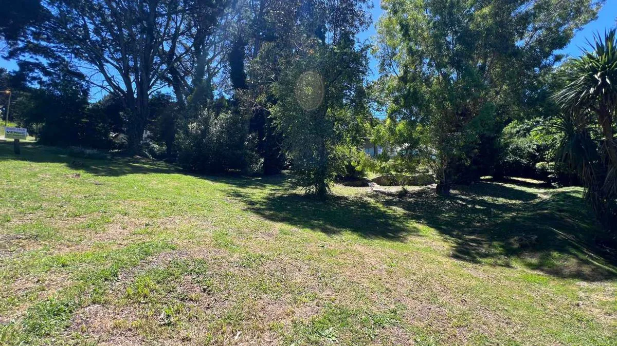 VENTA LOTE 600 MT SIERRA DE LOS PADRES CON GAS foto 3