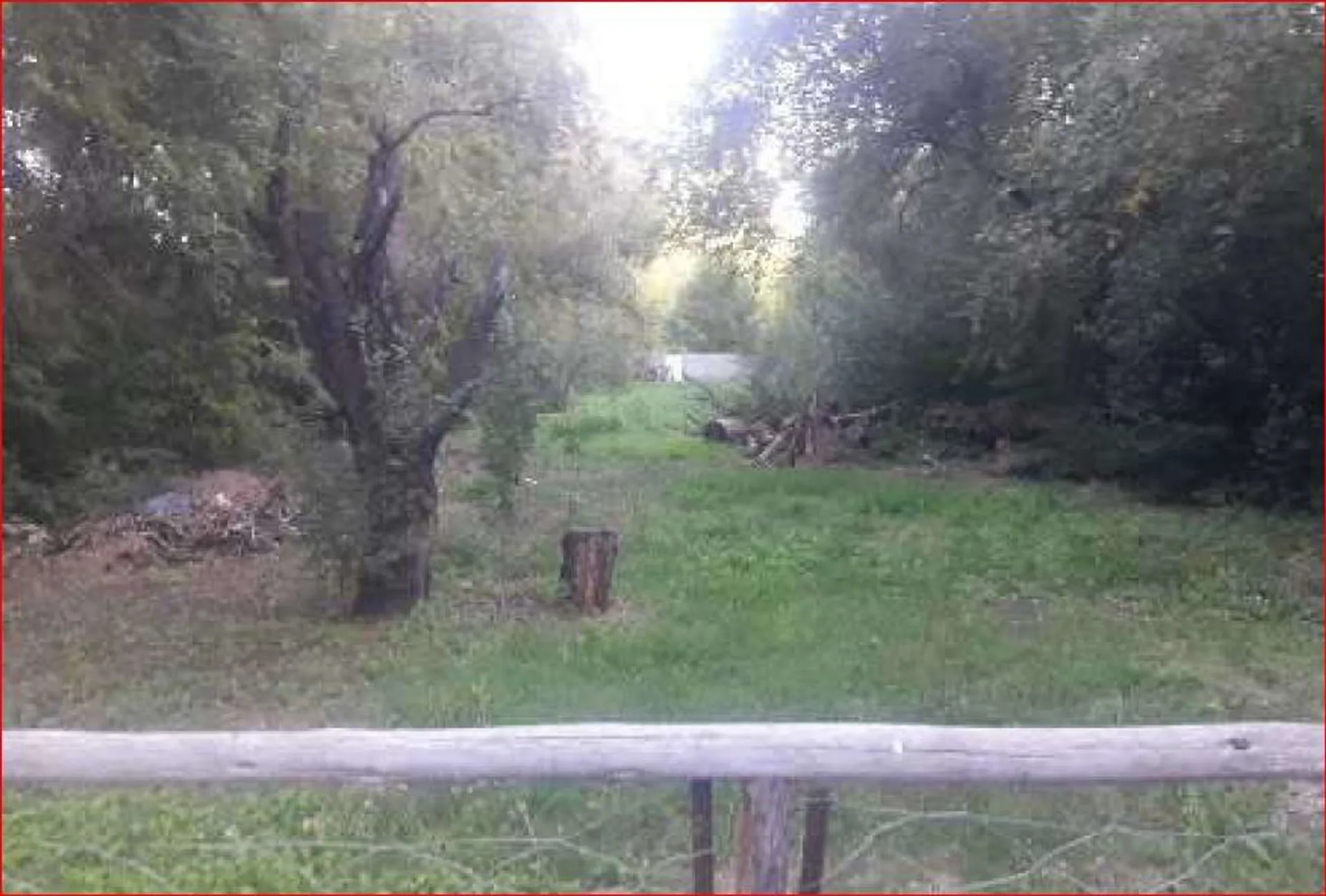 Venta de Casa en Potrero de los Funes - San Luis foto 5
