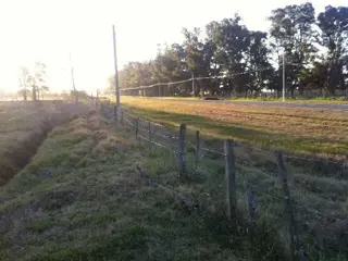 Campo en Venta en Cañuelas, Buenos Aires foto 3