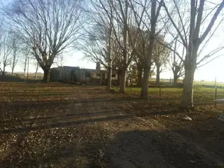 Campo en Venta en Cañuelas, Buenos Aires foto 4
