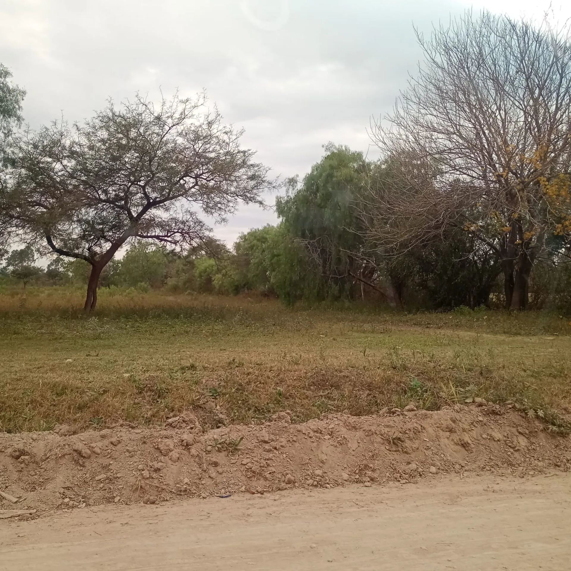 Gran lote en zona de expansión de Paraná foto 2