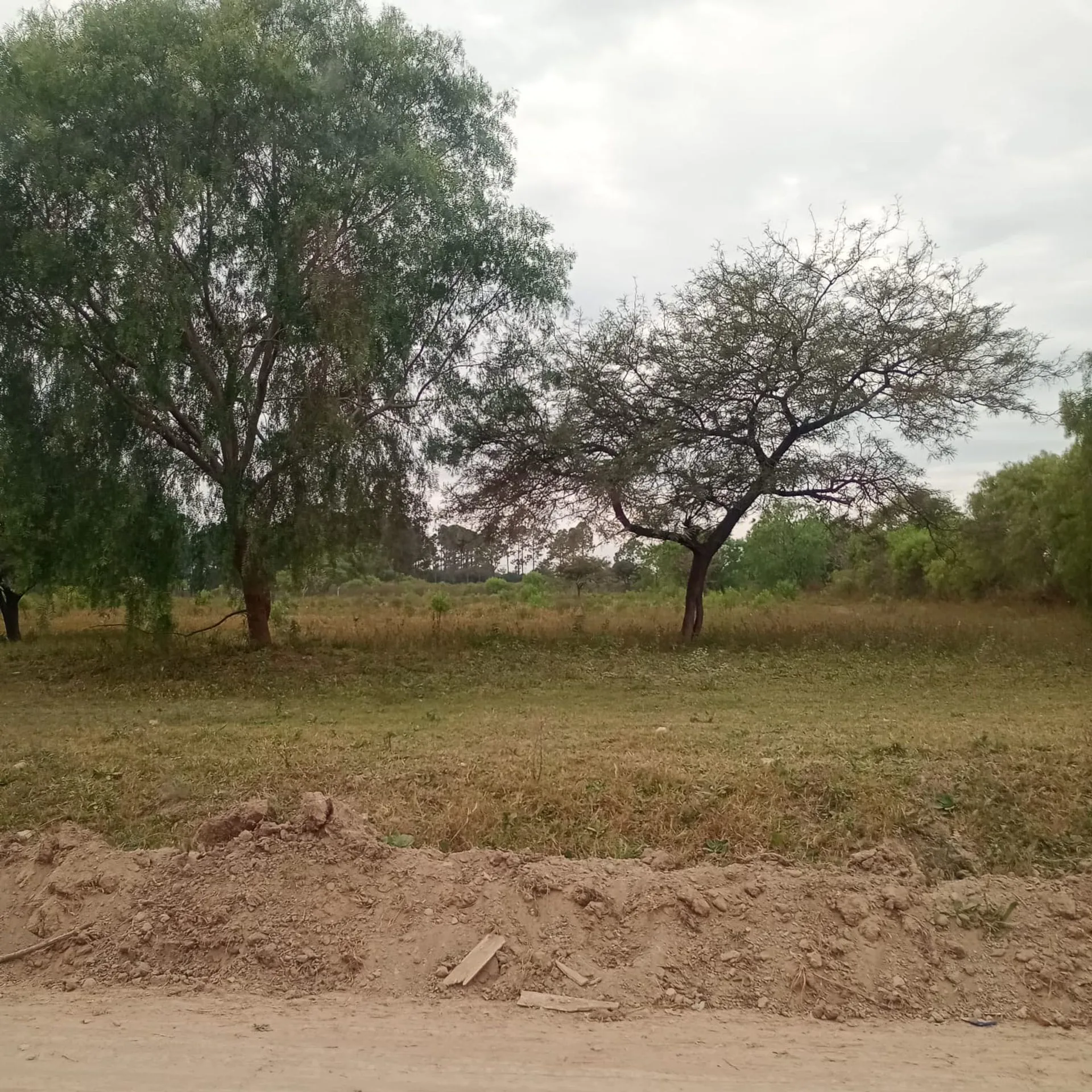 Gran lote en zona de expansión de Paraná foto 3