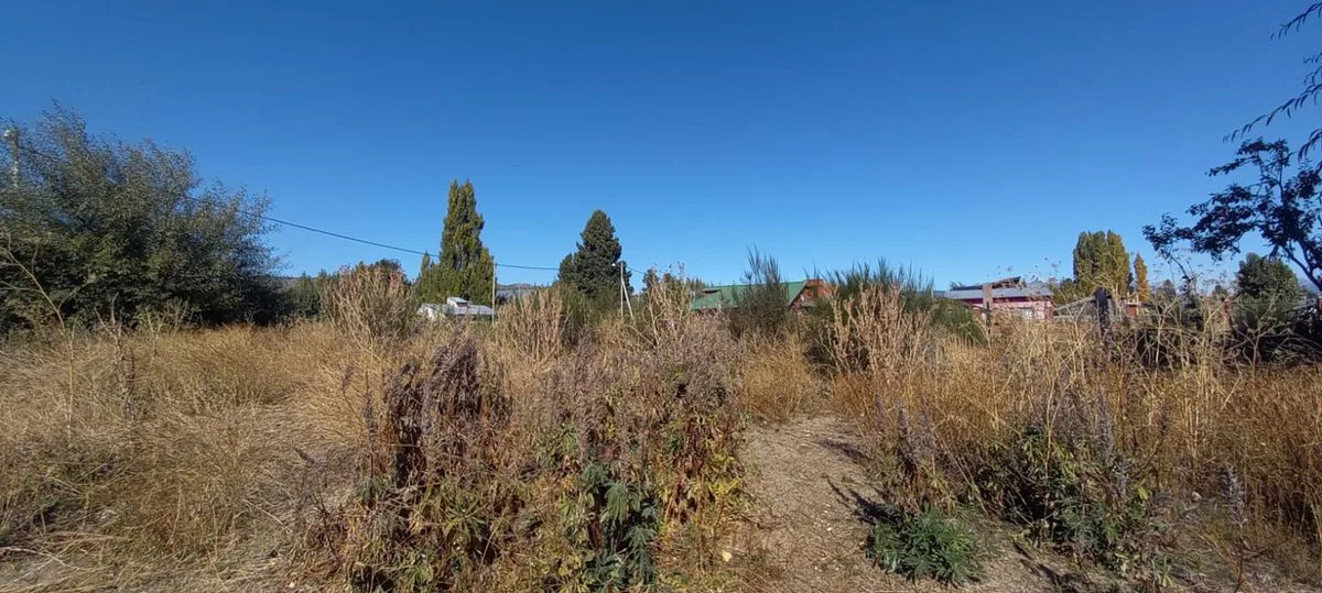 Terreno en Cholila,Chubut foto 2