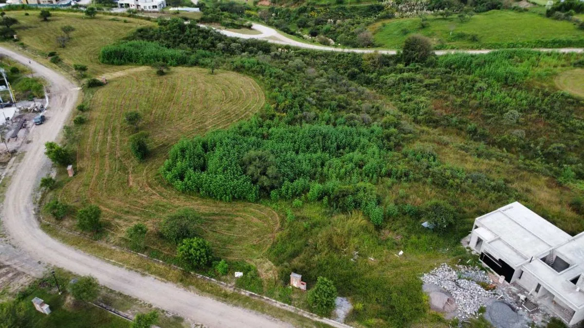 VENTA TERRENO 1575 M2 B° EL MOLLAR LA ALMONA foto 2