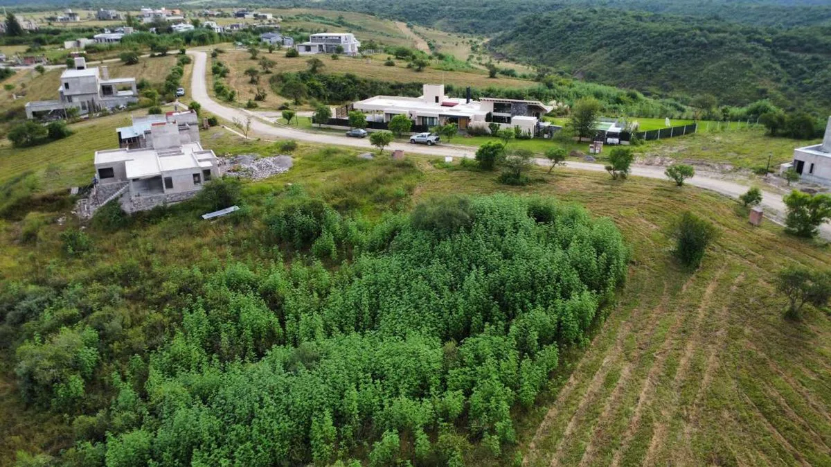 VENTA TERRENO 1575 M2 B° EL MOLLAR LA ALMONA foto 4