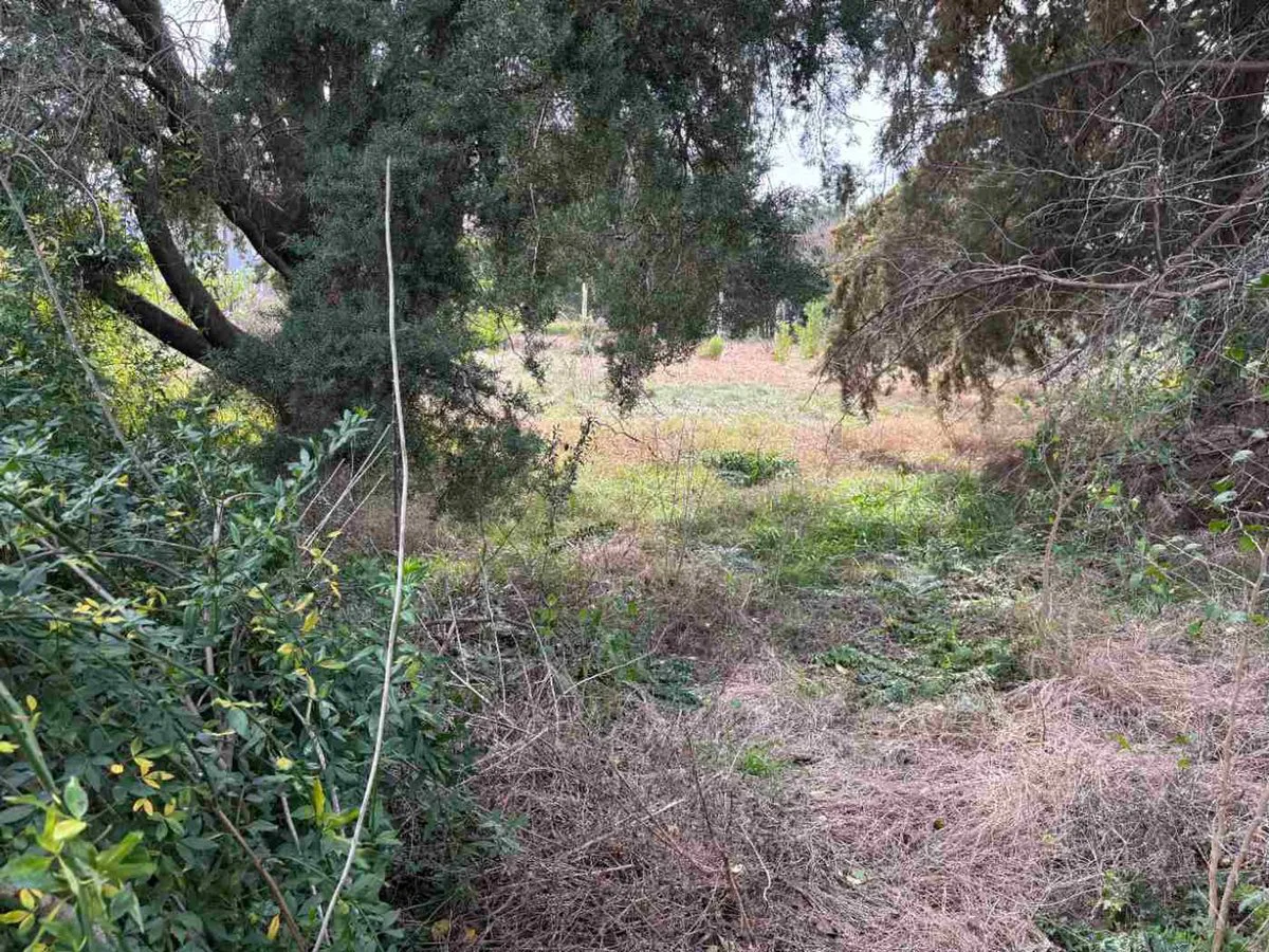 Lote en esquina 670 m2 arbolado, zona autódromo foto 2