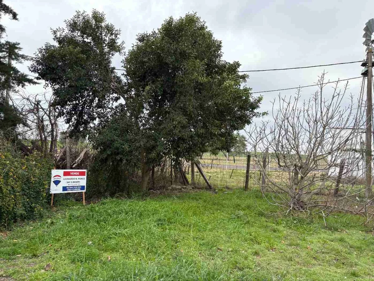 Lote en esquina 670 m2 arbolado, zona autódromo foto 3