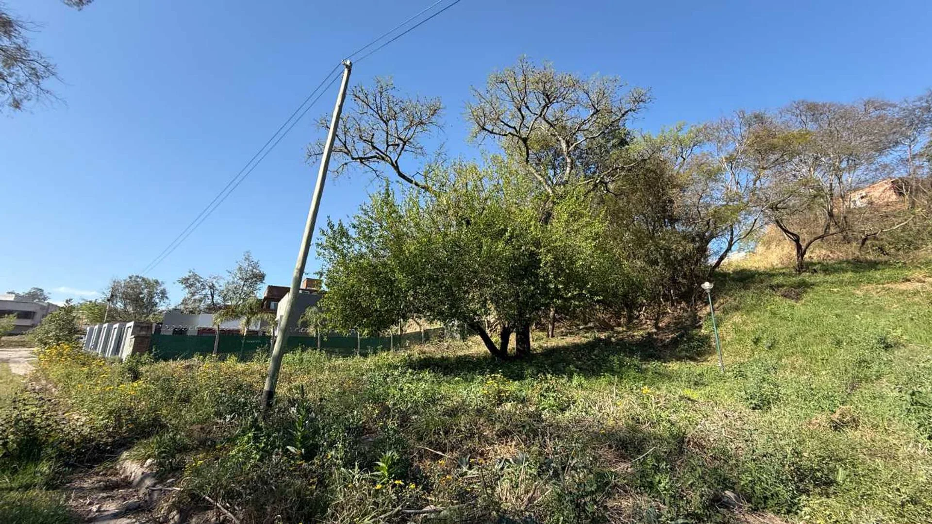 VENTA TERRENO EN LAS MORAS ESQUINA 1178.93 m² foto 3