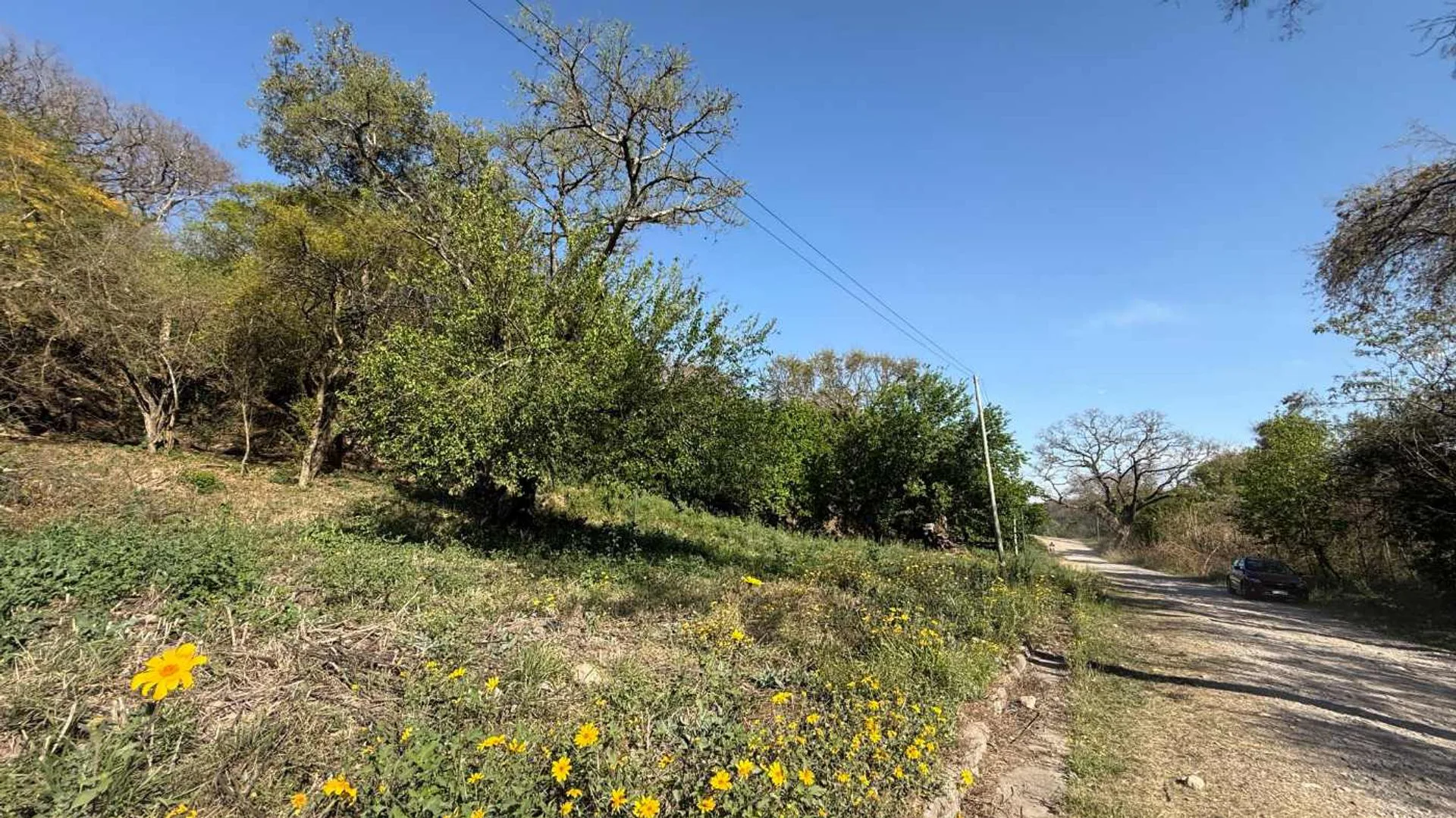 VENTA TERRENO EN LAS MORAS ESQUINA 1178.93 m² foto 4