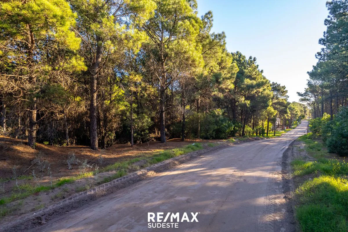 VENTA LOTE DE 920 MTS EN PINAR DEL GOLF foto 2