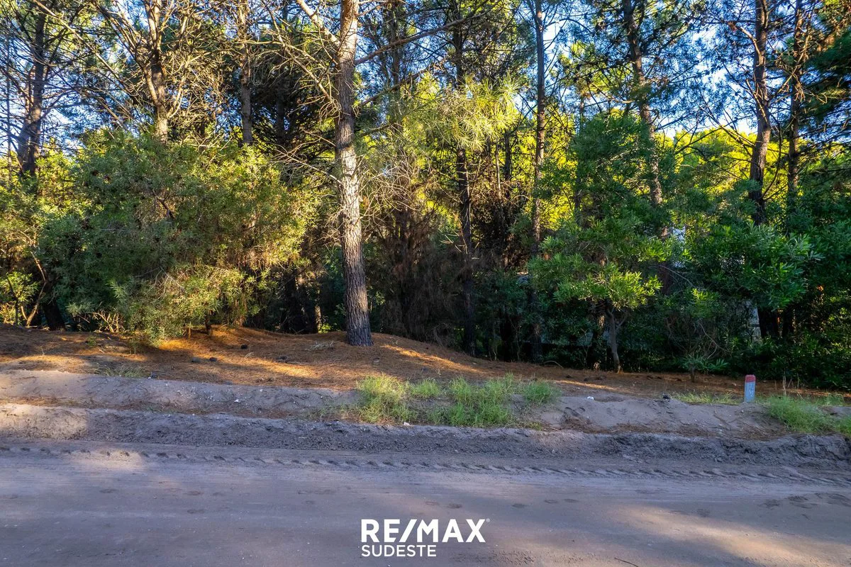 VENTA LOTE DE 920 MTS EN PINAR DEL GOLF foto 3