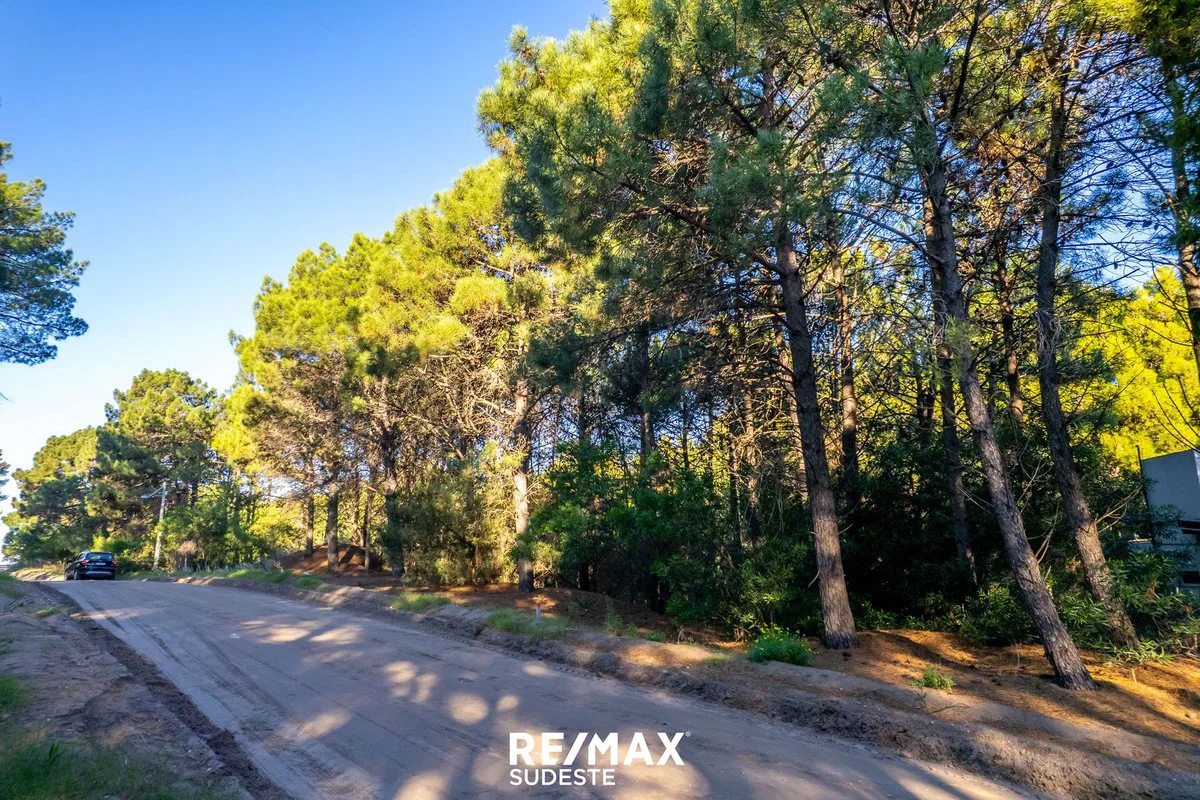 VENTA LOTE DE 920 MTS EN PINAR DEL GOLF foto 4