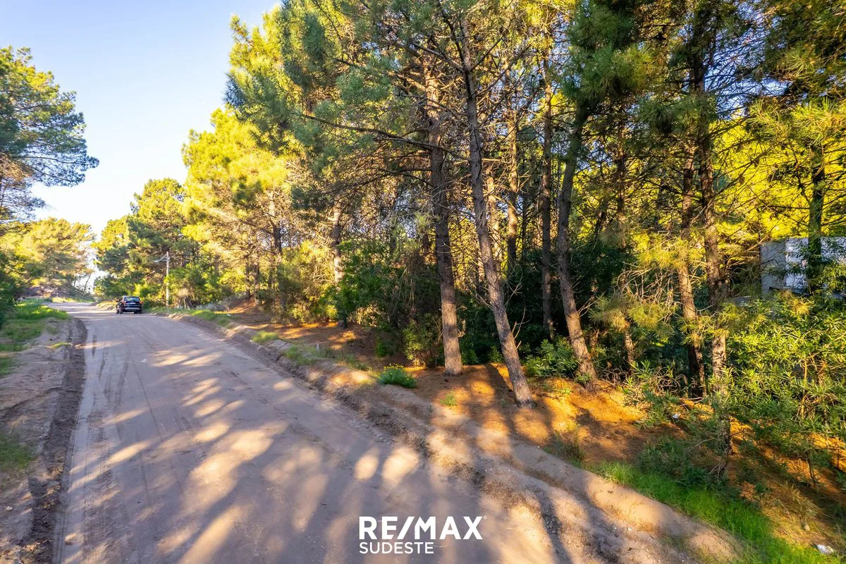 VENTA LOTE DE 920 MTS EN PINAR DEL GOLF foto 5