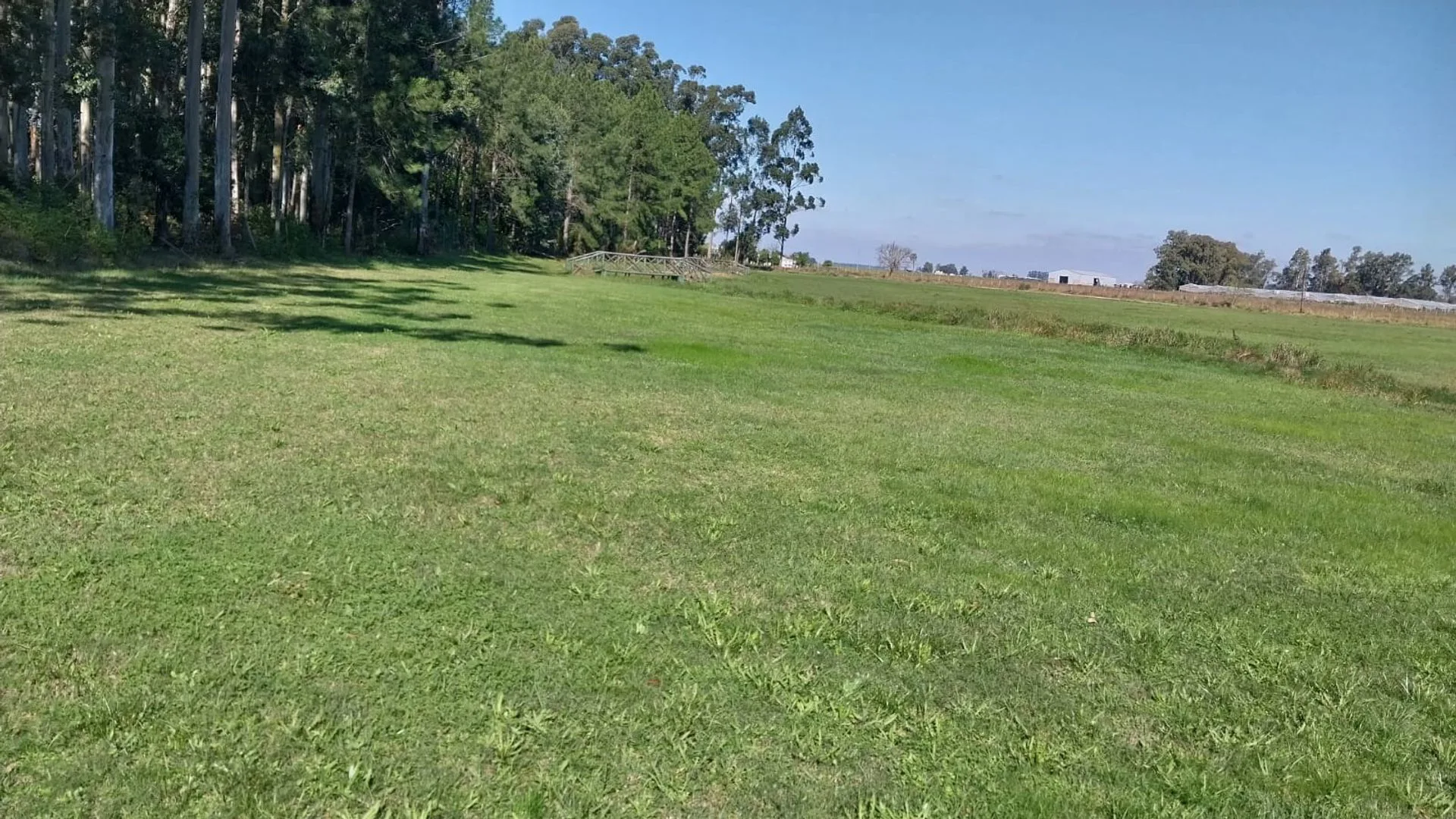 LOTES EN VENTA A 200 MTS DE LA LAGUNA PUCU foto 4
