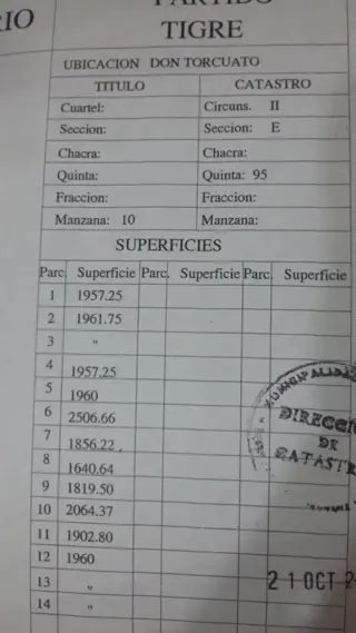 LOTE IMPORTANTE SUPERFICIE Y ZONA.....EMPRENDIMIENTO!!! foto 4