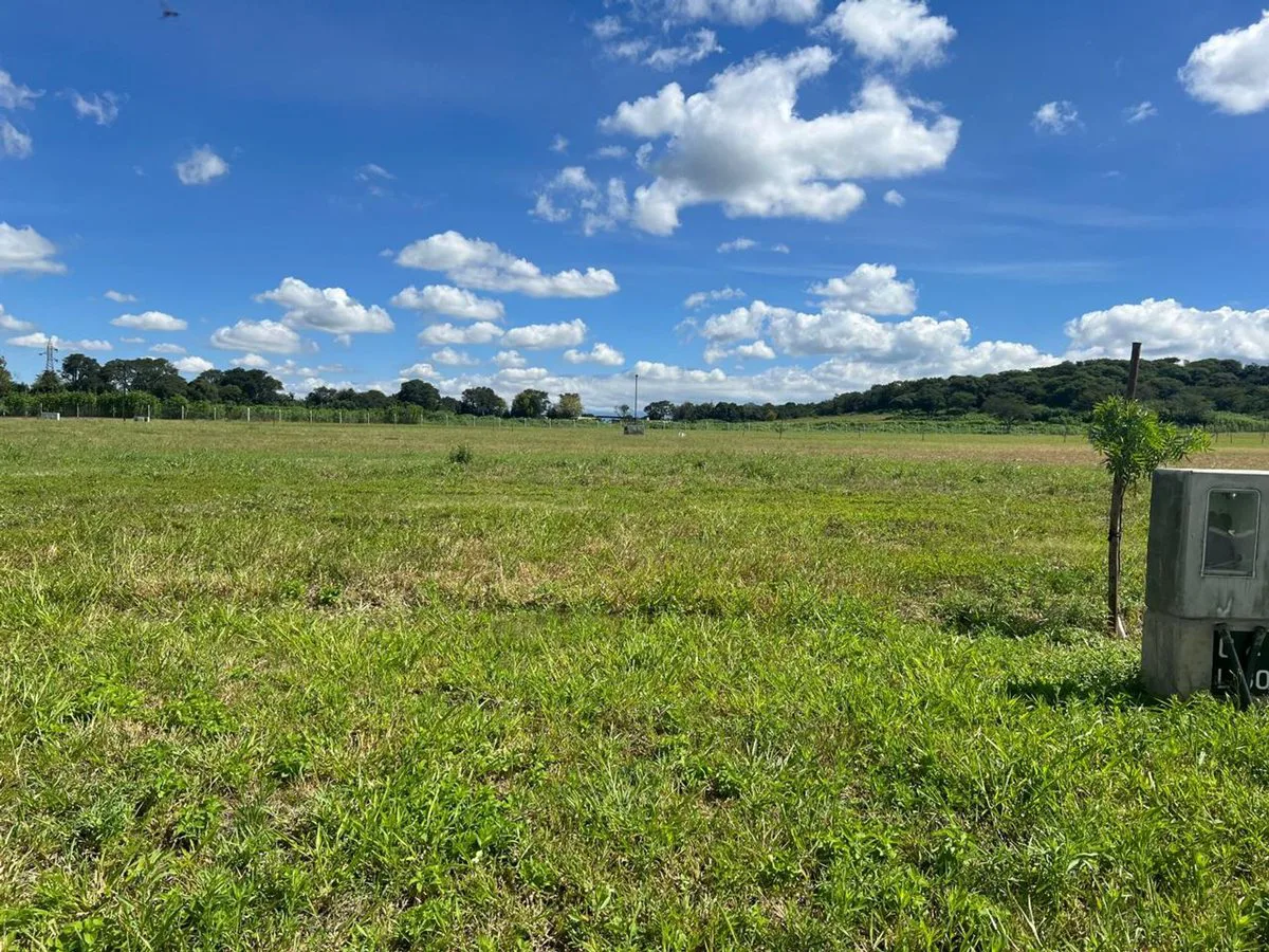 TERRENO EN VENTA EN LA ARBOLADA - CIRCUNV OESTE foto 3