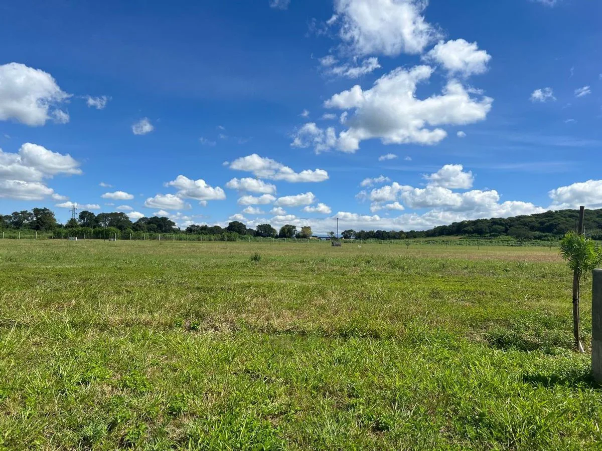 TERRENO EN VENTA EN LA ARBOLADA - CIRCUNV OESTE foto 5