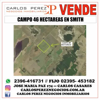CAMPO 46 HECT. 100 AGRÍCOLAS EN SMITH. foto 1