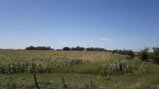 CAMPO 46 HECT. 100 AGRÍCOLAS EN SMITH. foto 4
