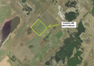 CAMPO 46 HECT. 100 AGRÍCOLAS EN SMITH. foto 5