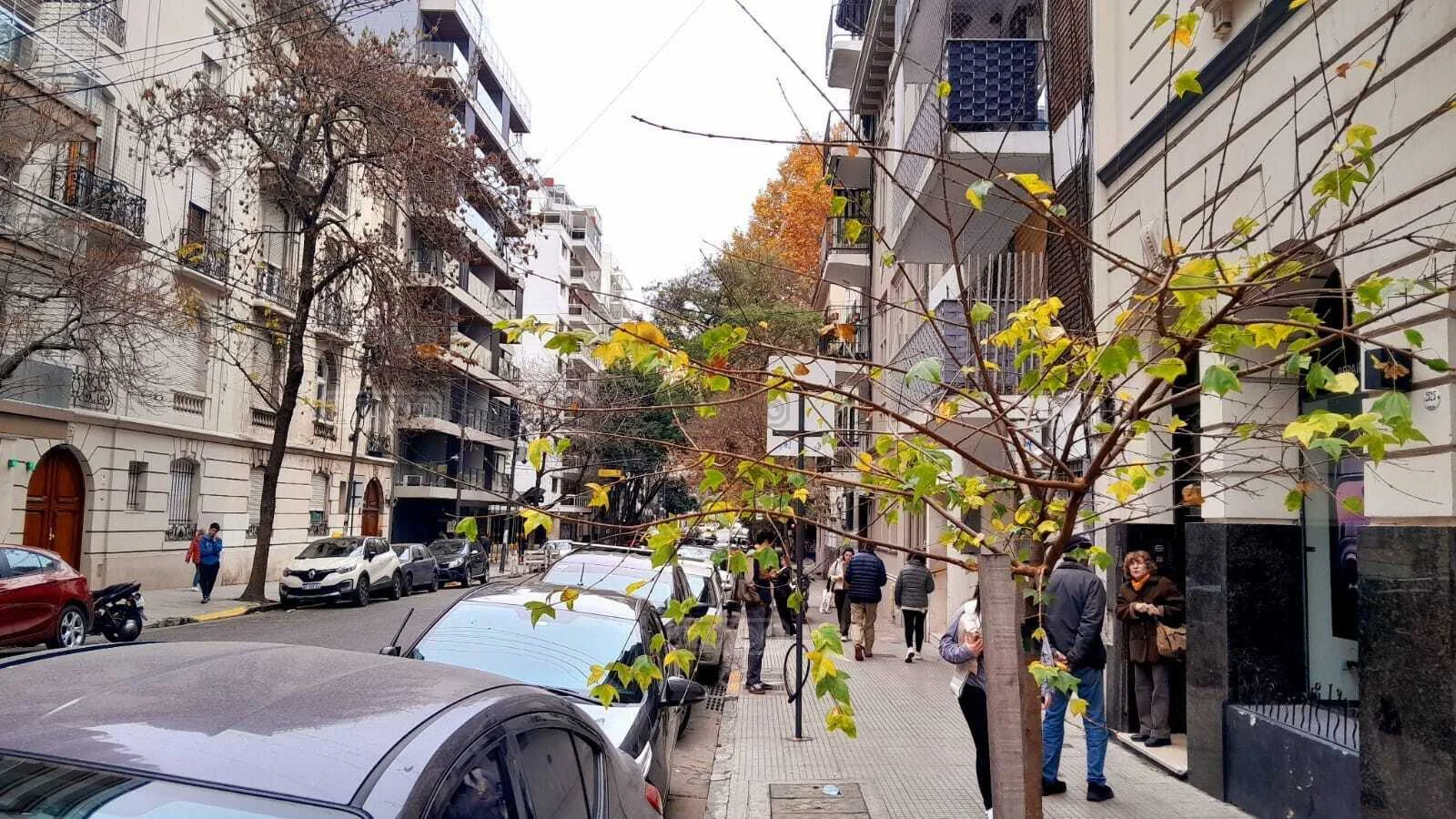 Juncal 2500 foto 3