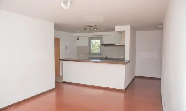 Campichuelo 600