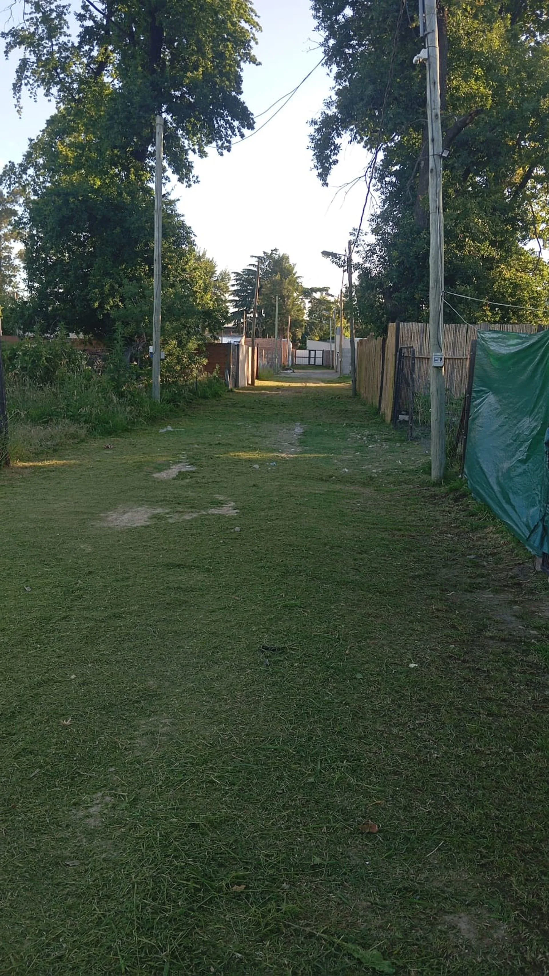 VENTA LOTE MERLO foto 4