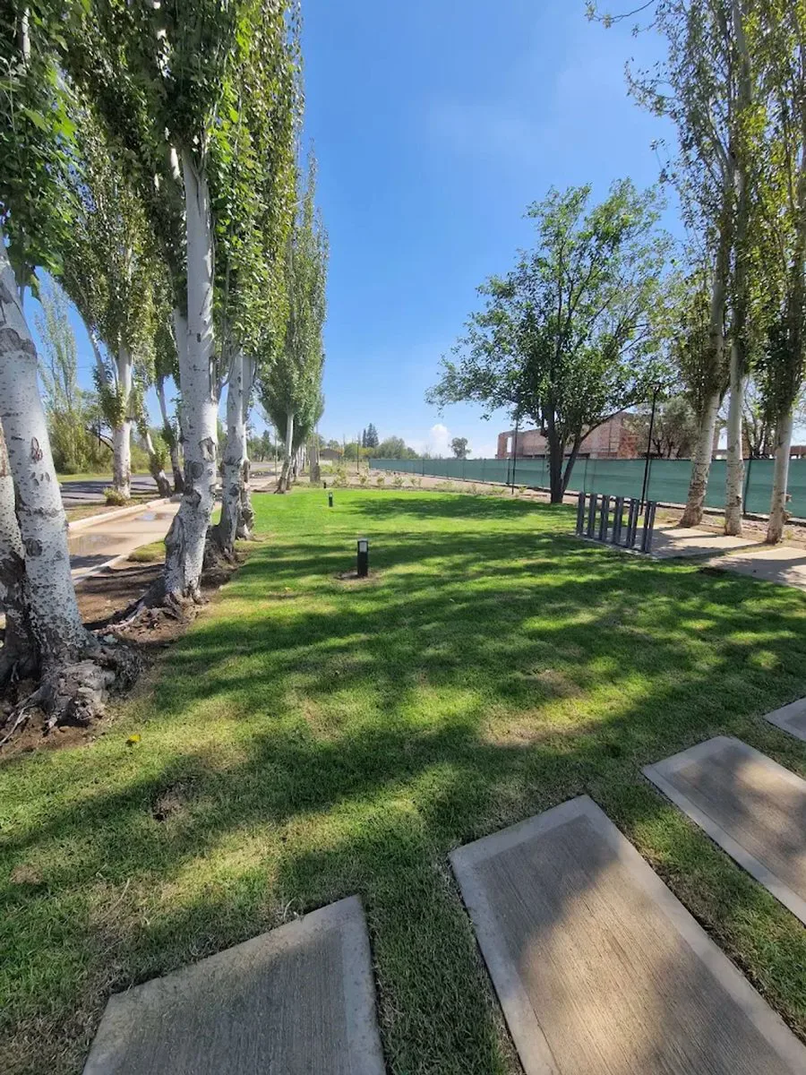 VENTA LOTE BARRIO PRIVADO  BOSQUE BLANCO JUNIN foto 2
