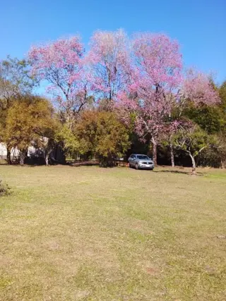 Venta de Campo de 25 Hectáreas en San José, Misiones Con Casa y Arroyo foto 4