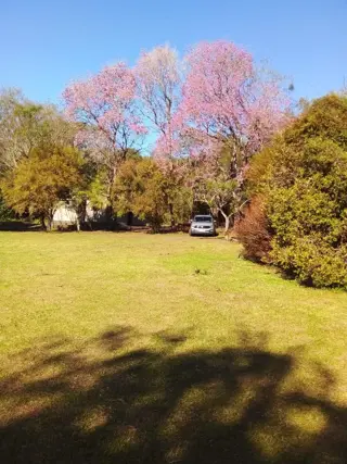 Venta de Campo de 25 Hectáreas en San José, Misiones Con Casa y Arroyo foto 5