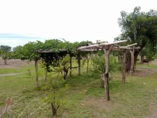 LOTEO &quotEL BRETE&quot - CRUZ DEL EJE ¡FINANCIACIÓN foto 3