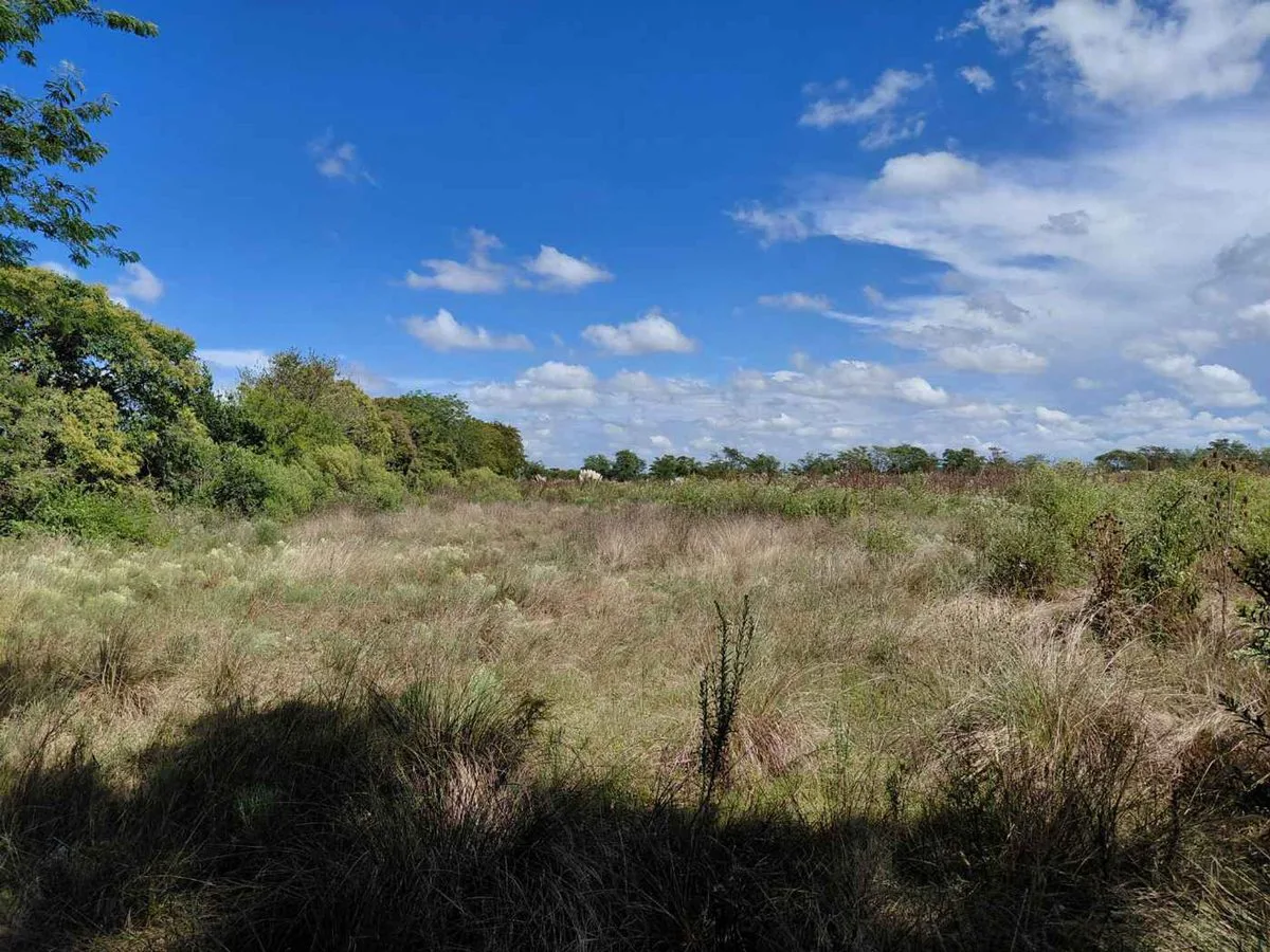 TERRENO EN VENTA MANZANARES PILAR 5 HA INVERSORES foto 2