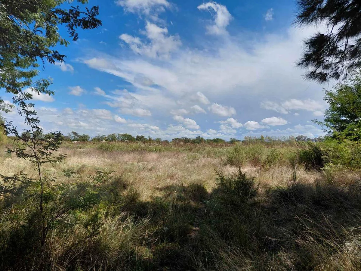 TERRENO EN VENTA MANZANARES PILAR 5 HA INVERSORES foto 3