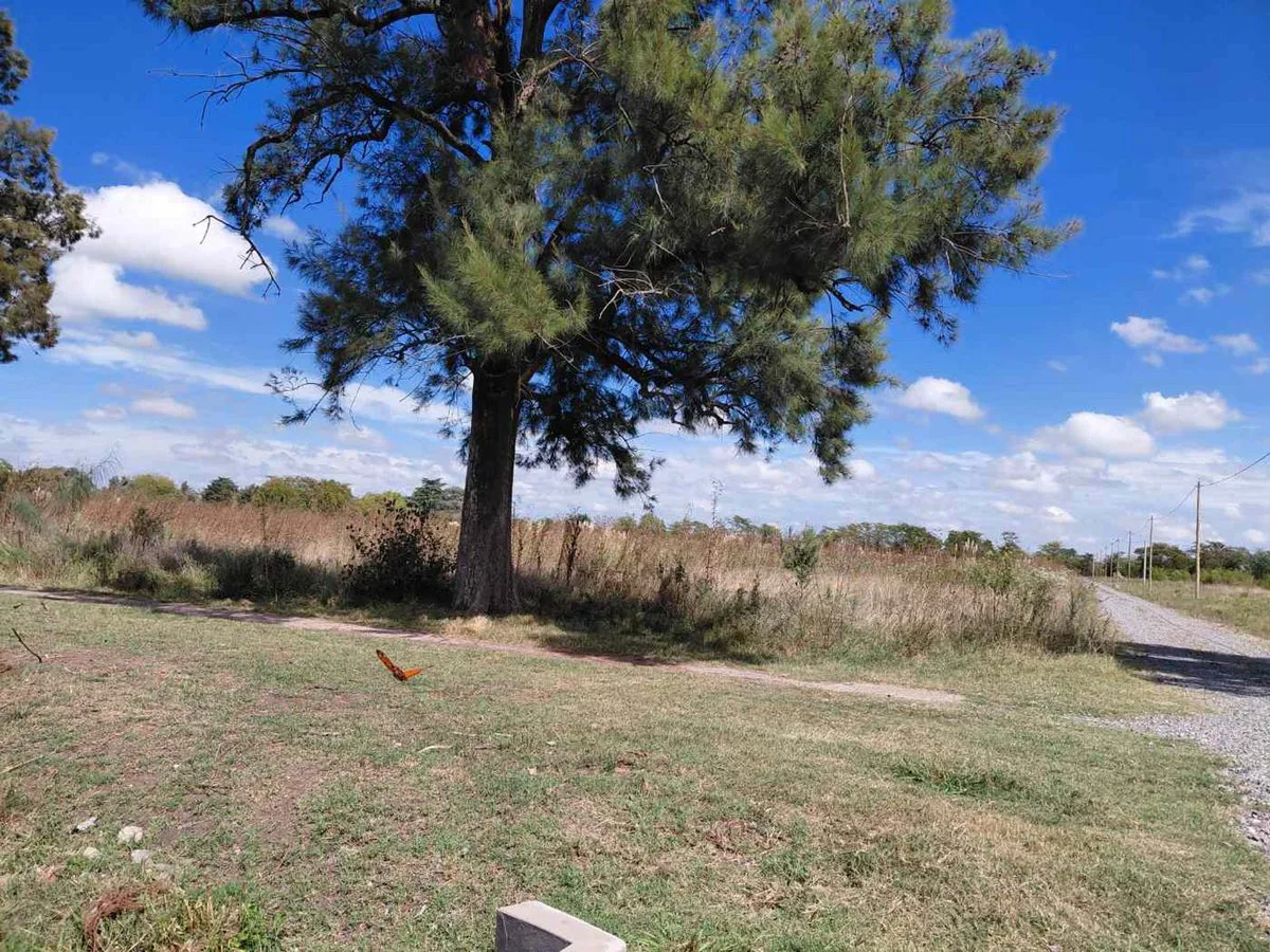 TERRENO EN VENTA MANZANARES PILAR 5 HA INVERSORES foto 4