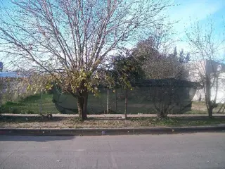 Terreno en Venta en Centro Agrícola el Pato, Berazategui, Buenos Aires foto 3