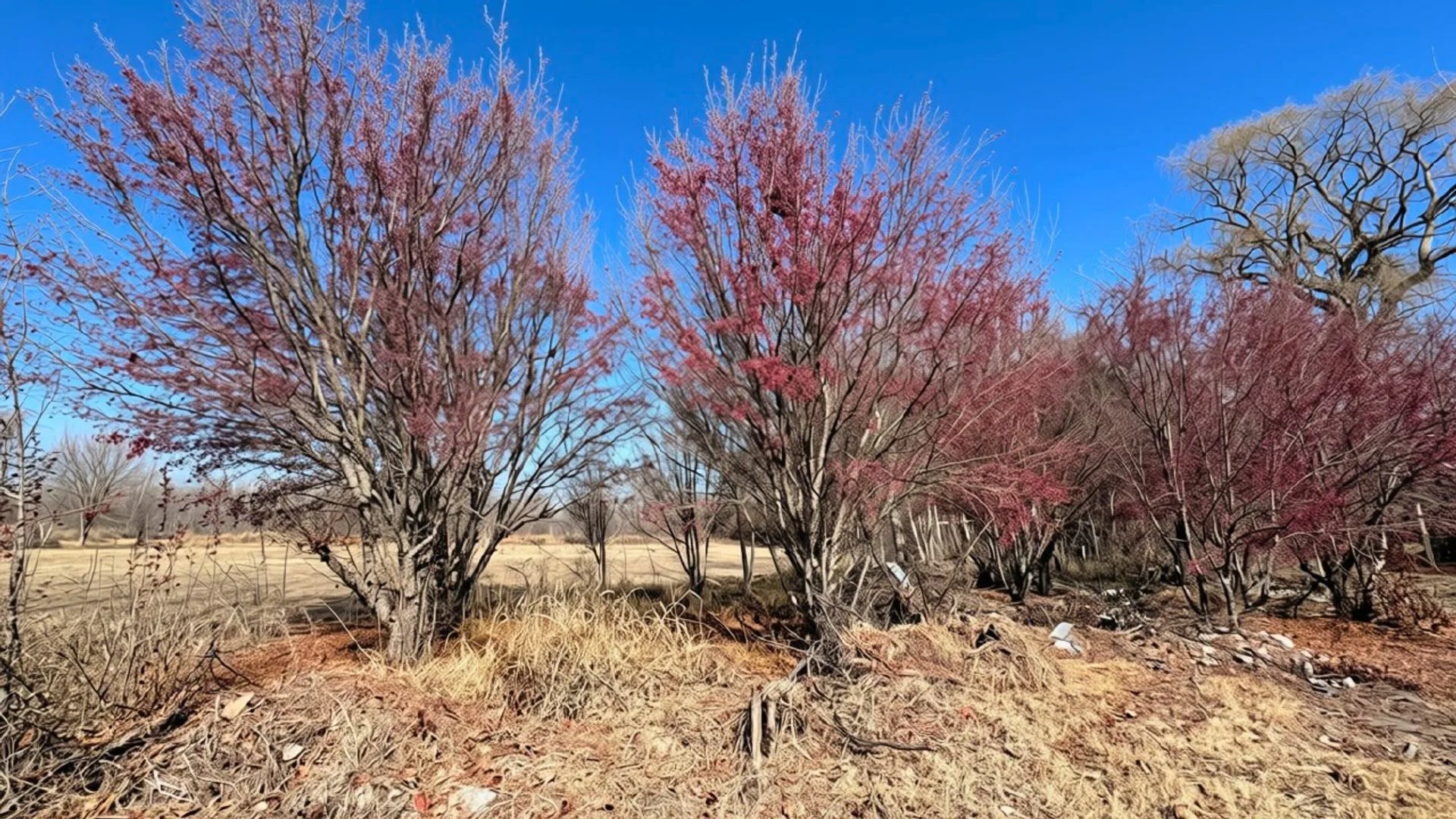 Venta Lote Tunuyán foto 3