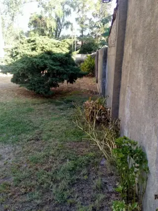 Excelente terreno de 330 mt2.,  con mejoras. foto 3