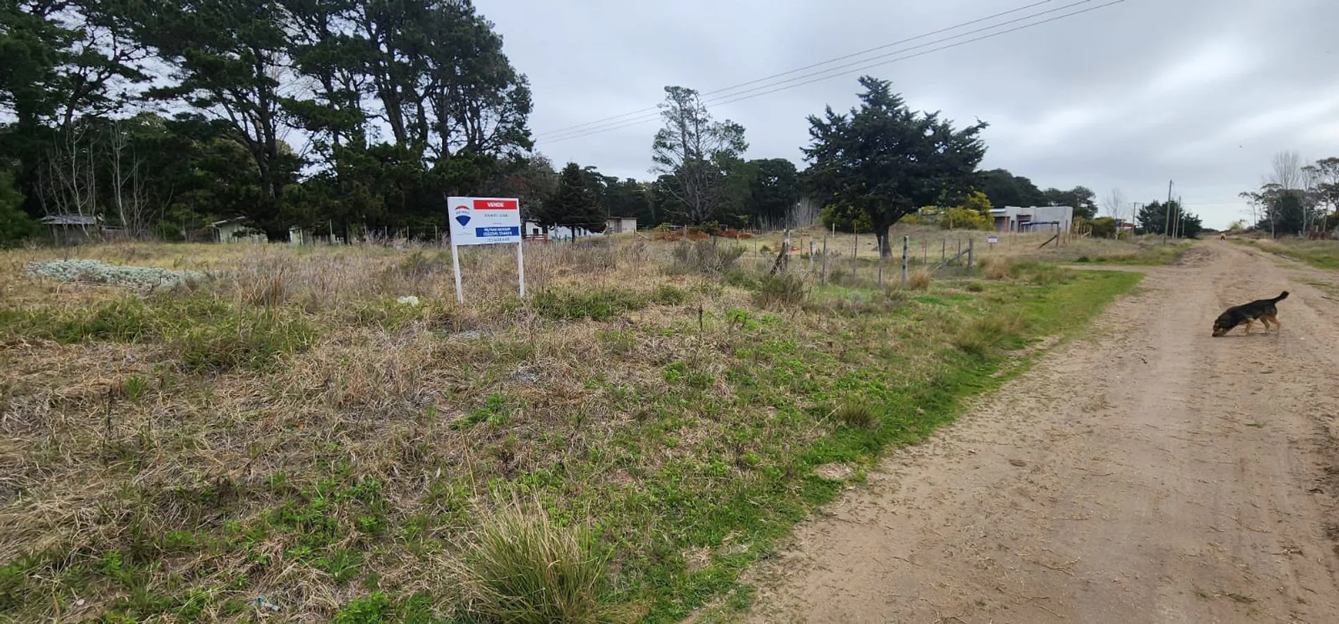 VENTA LOTE DE 500 METROS - NUEVA ATLANTIS foto 2