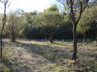 TERRENO EN VENTA EN LA POBLACIÓN TRASLASIERRA foto 3