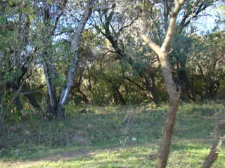 TERRENO EN VENTA EN LA POBLACIÓN TRASLASIERRA foto 4