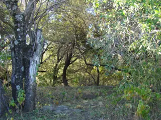 TERRENO EN VENTA EN LA POBLACIÓN TRASLASIERRA foto 5